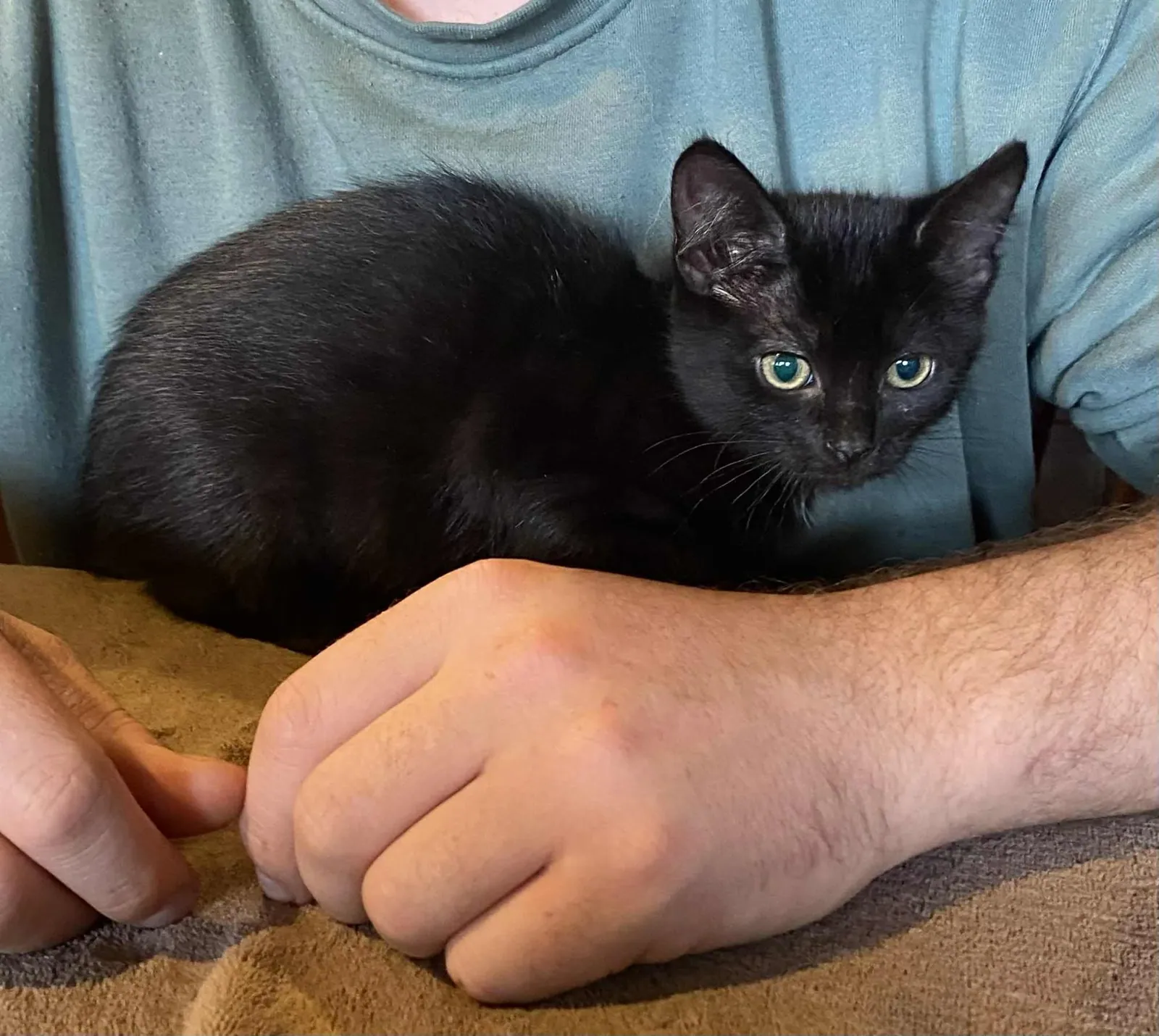 Oreo – Photo 1 of 1