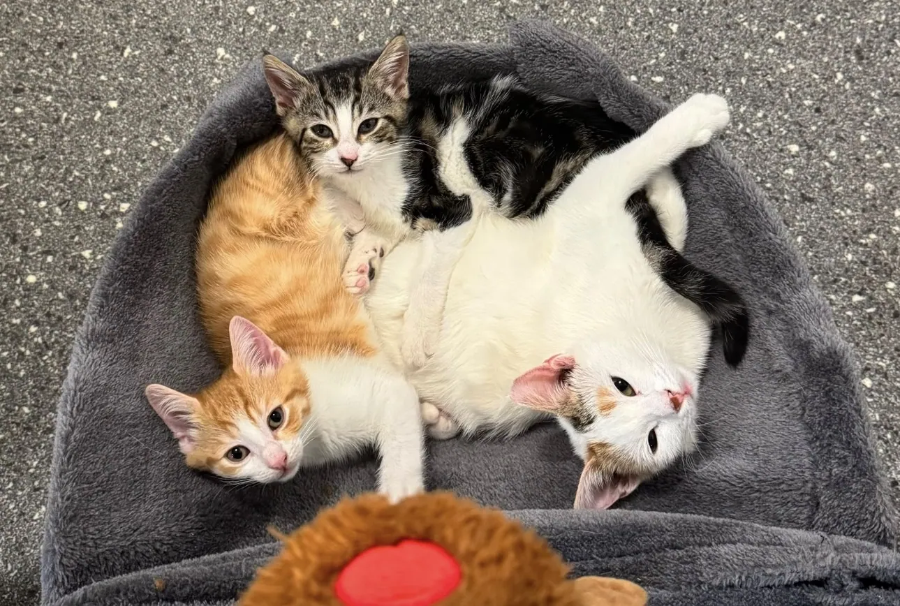 Jemima and her babas – Photo 1 of 1