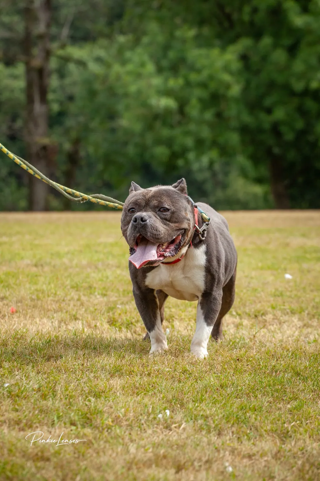 Zeus – Photo 1 of 1