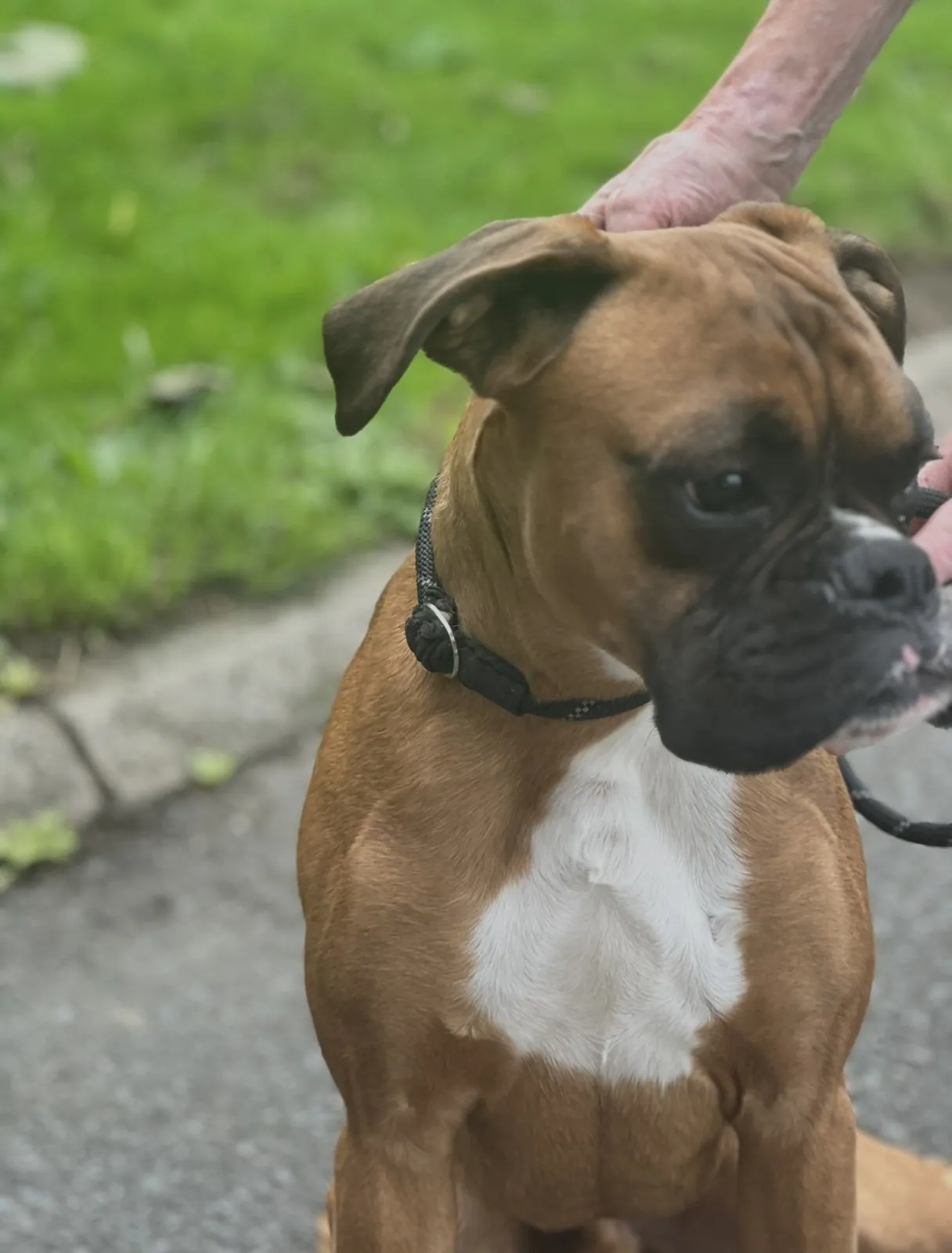 Tyson