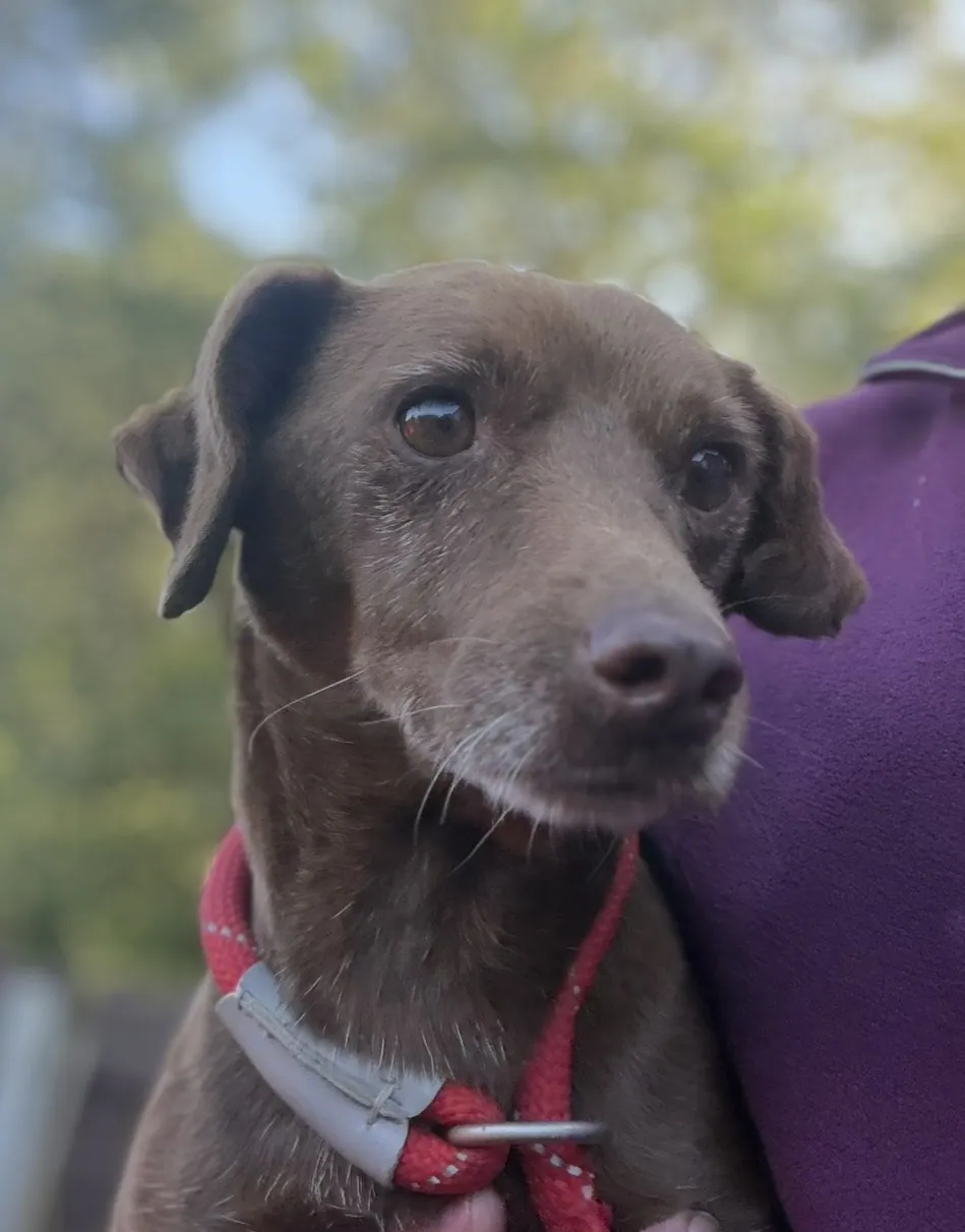 Coco