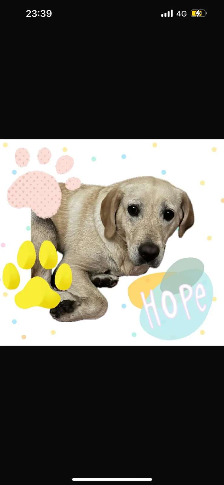 Hope – Photo 1 of 1