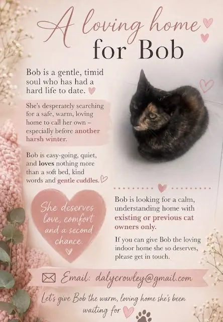 Bob