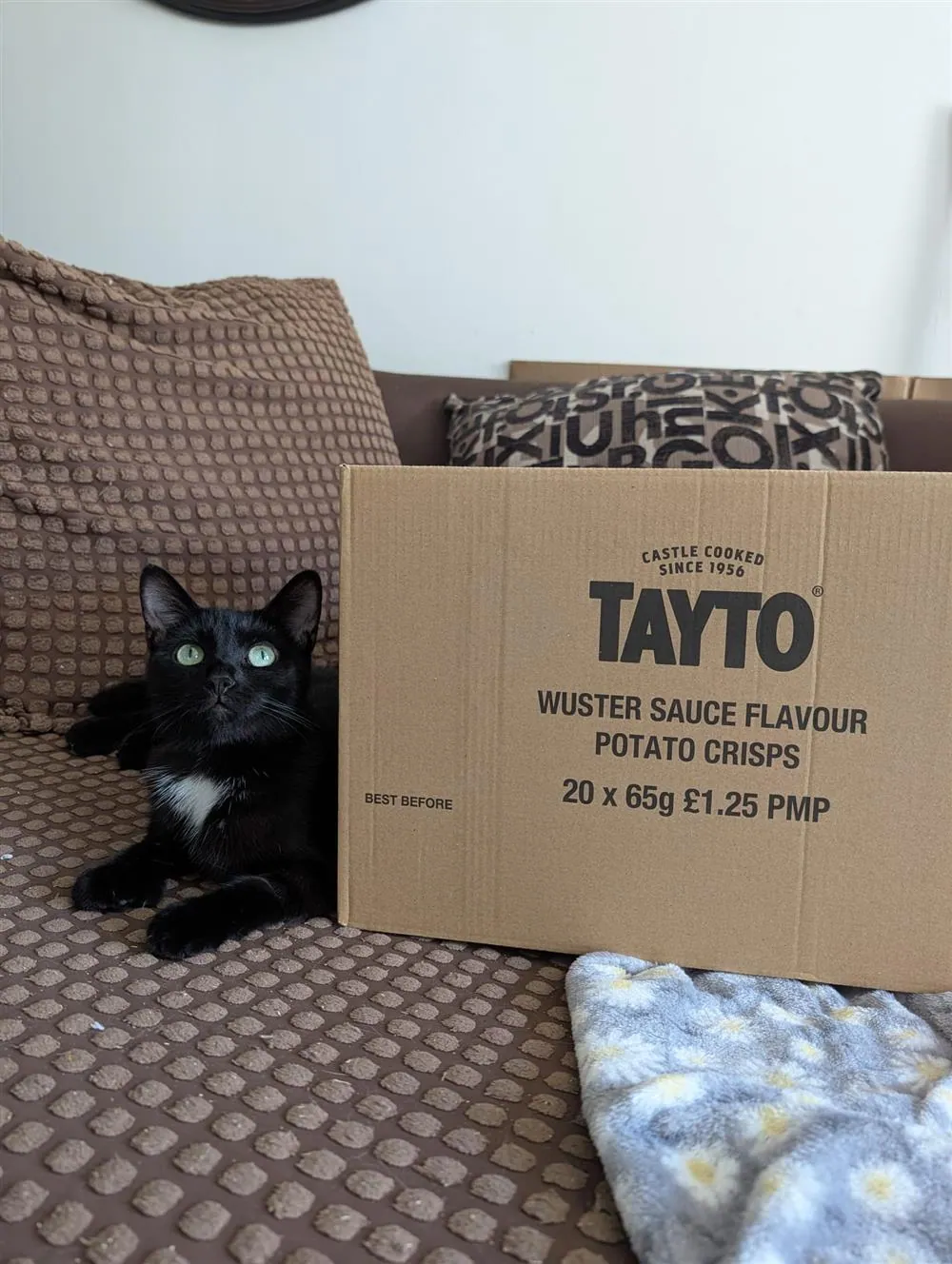 Tayto – Photo 1 of 1