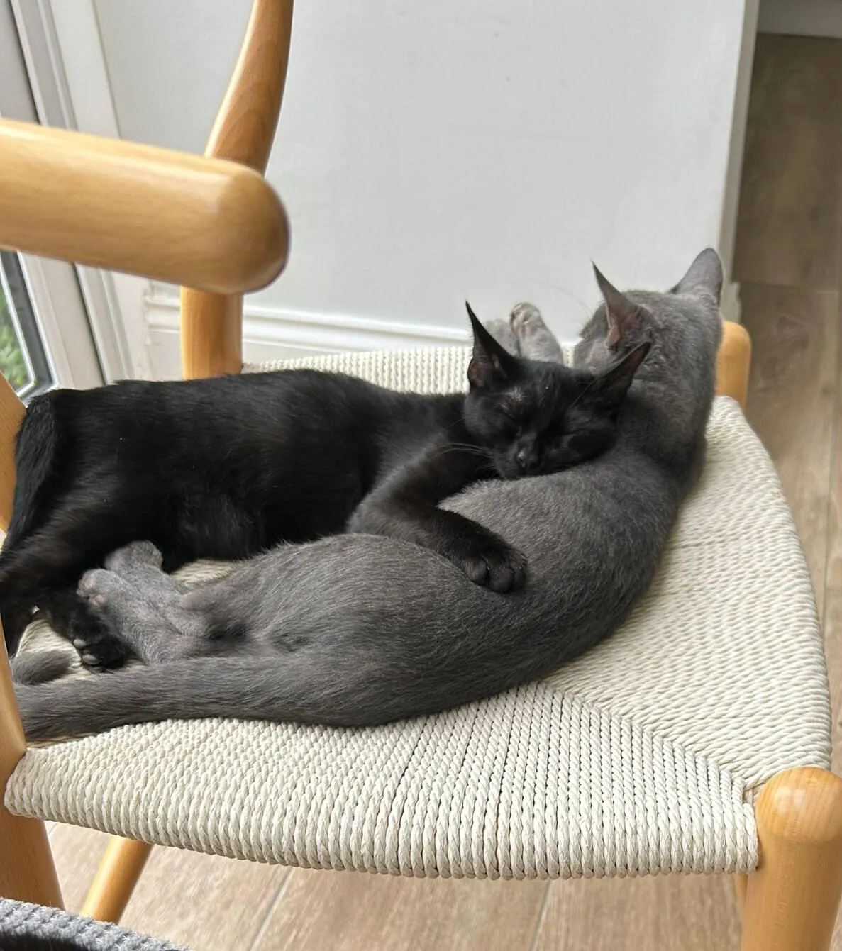 Grayson & Millie – Photo 1 of 3