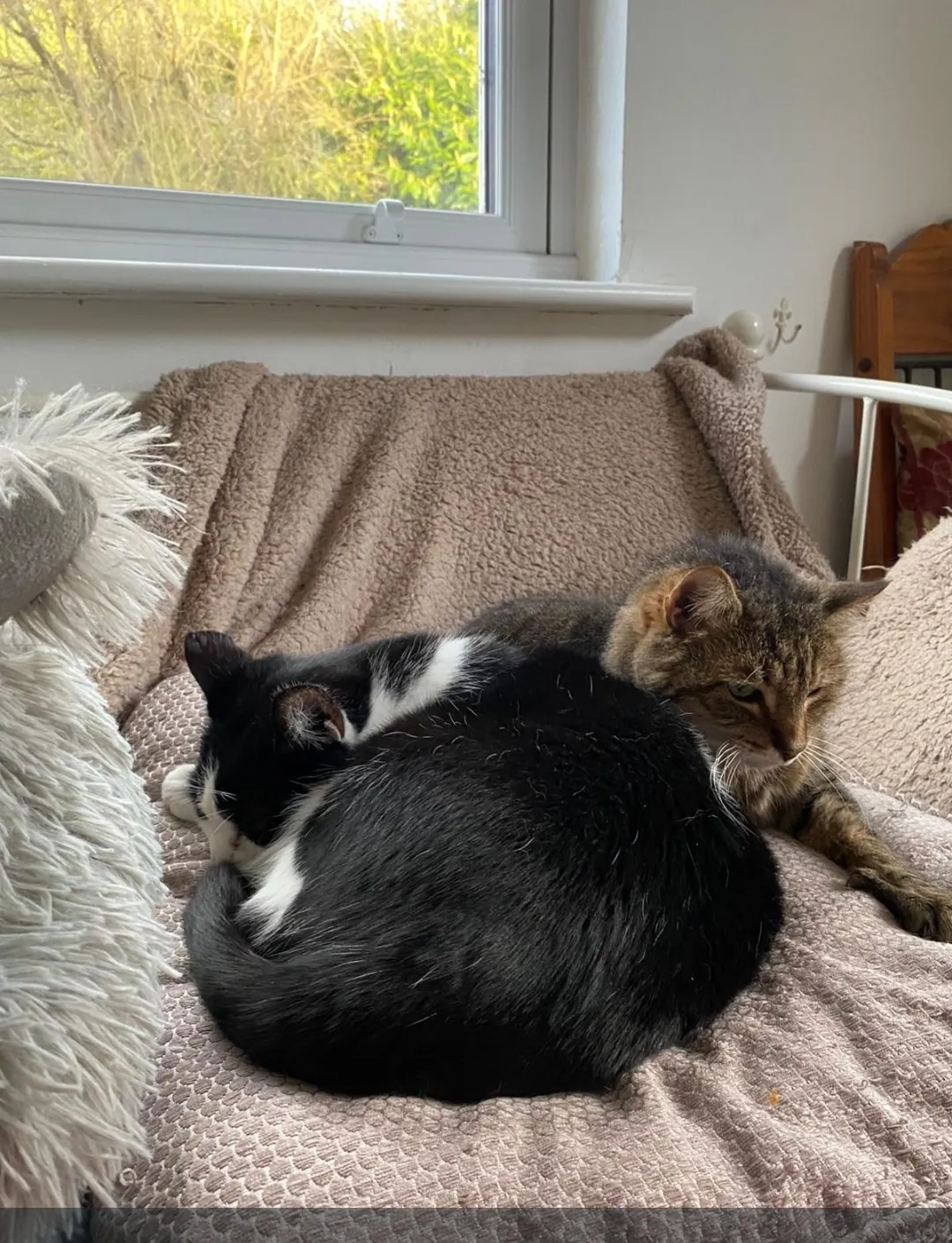 Tilly & Tyson – Photo 1 of 4