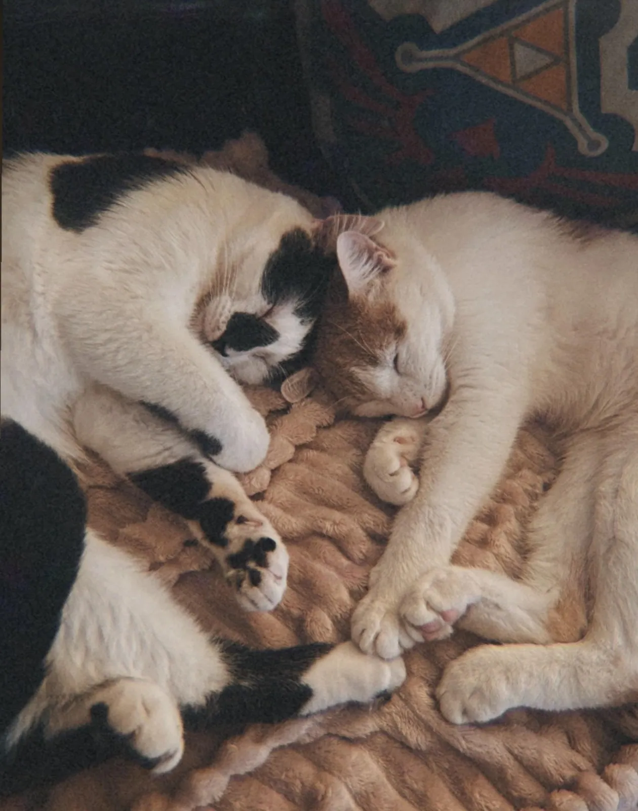 Rua & Dubh – Photo 1 of 1
