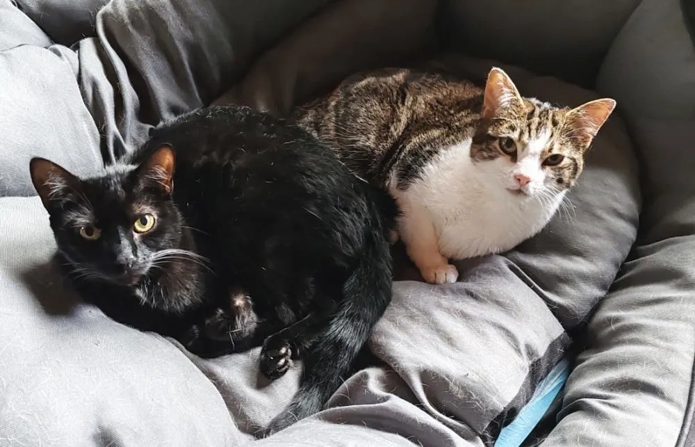 Bonky and Toots – Photo 1 of 1