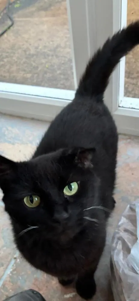 Luna – Photo 1 of 3