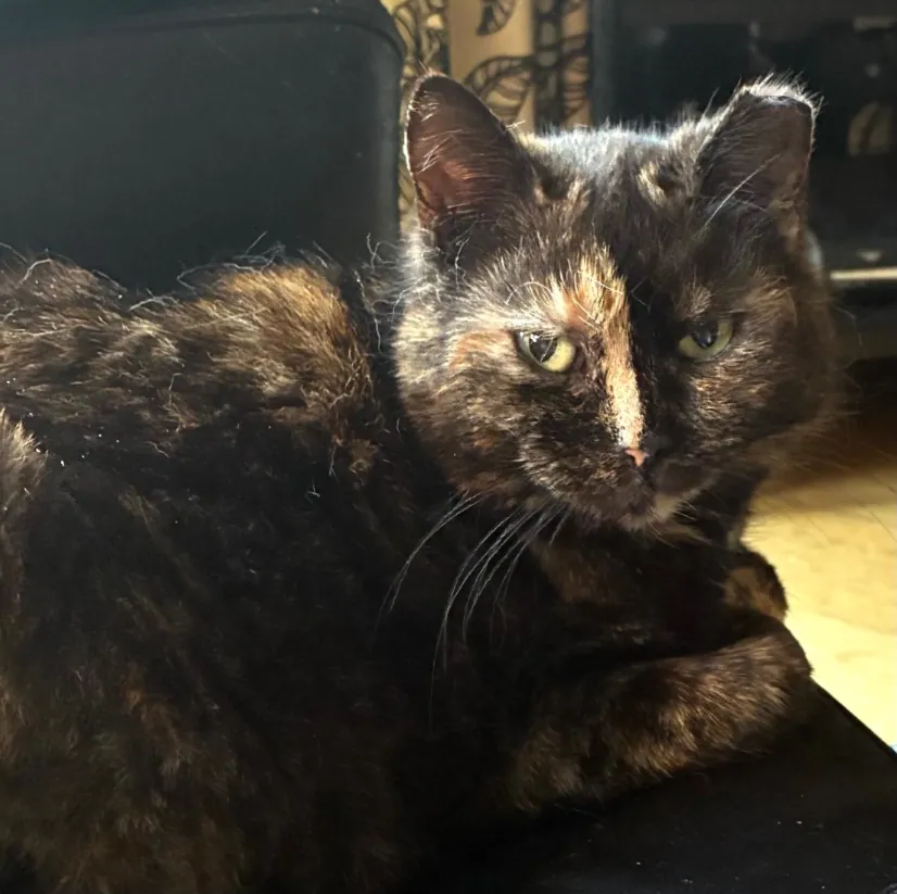 Thelma – Photo 1 of 1