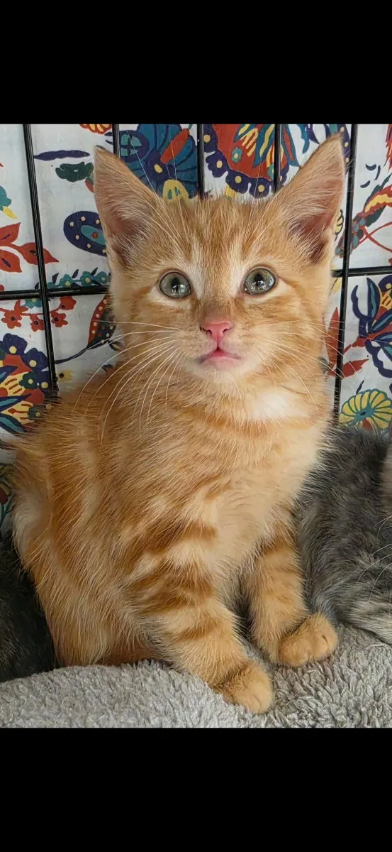 Rusty