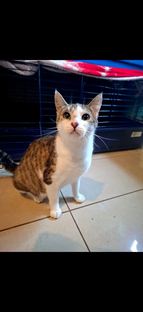 Philemena
