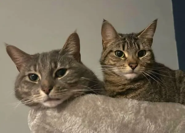 Cassie and Freddie – Photo 1 of 4
