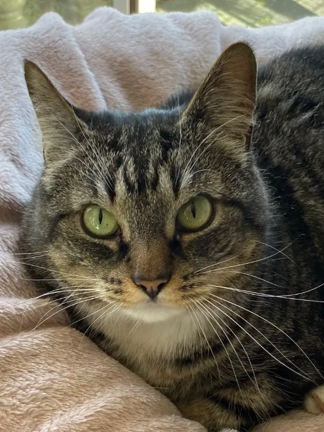 Lily – Photo 1 of 4