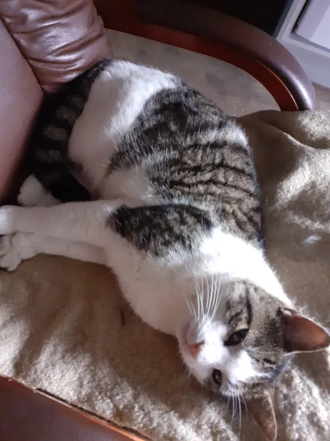 Juno – Photo 1 of 2