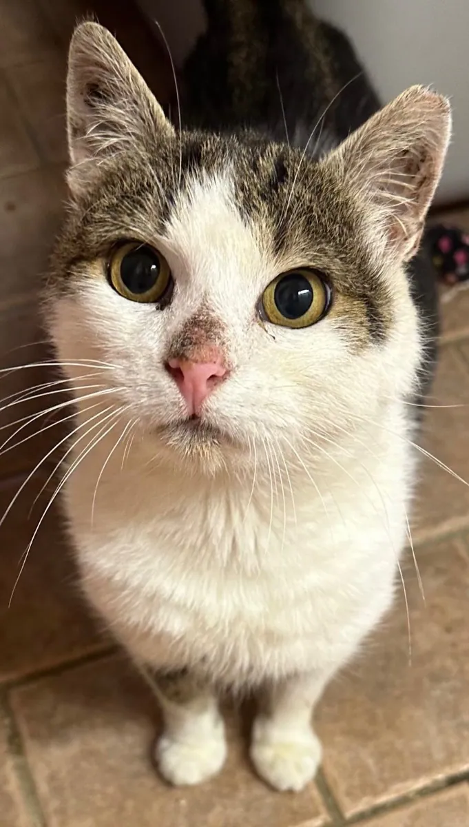 Billy