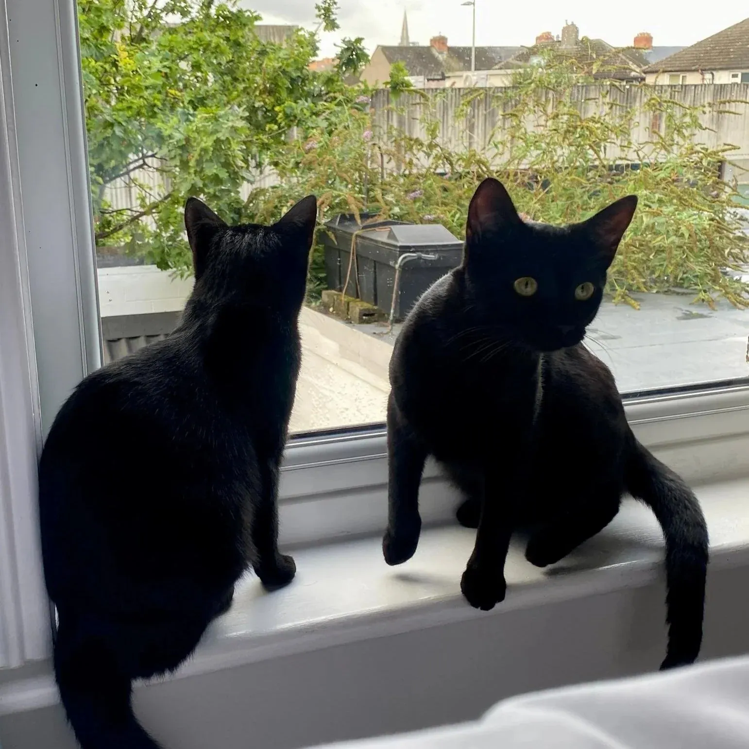 Finn and Reya – Photo 1 of 1