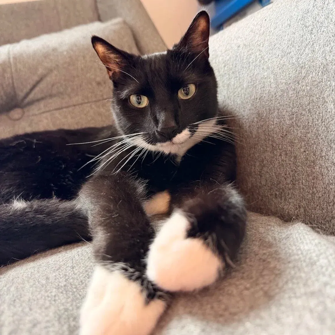 Eddie – Photo 1 of 1