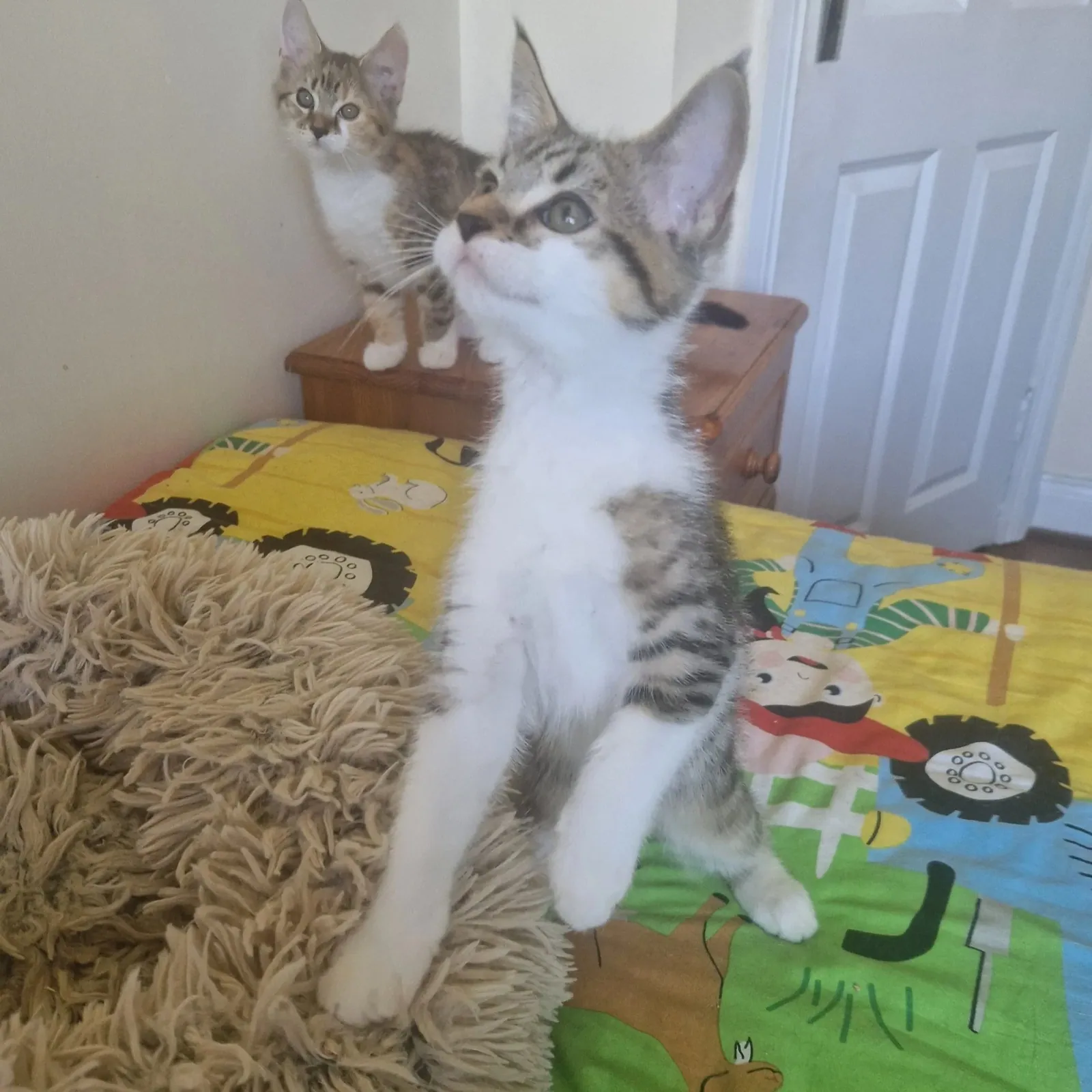 Dax and Ivy – Photo 1 of 1