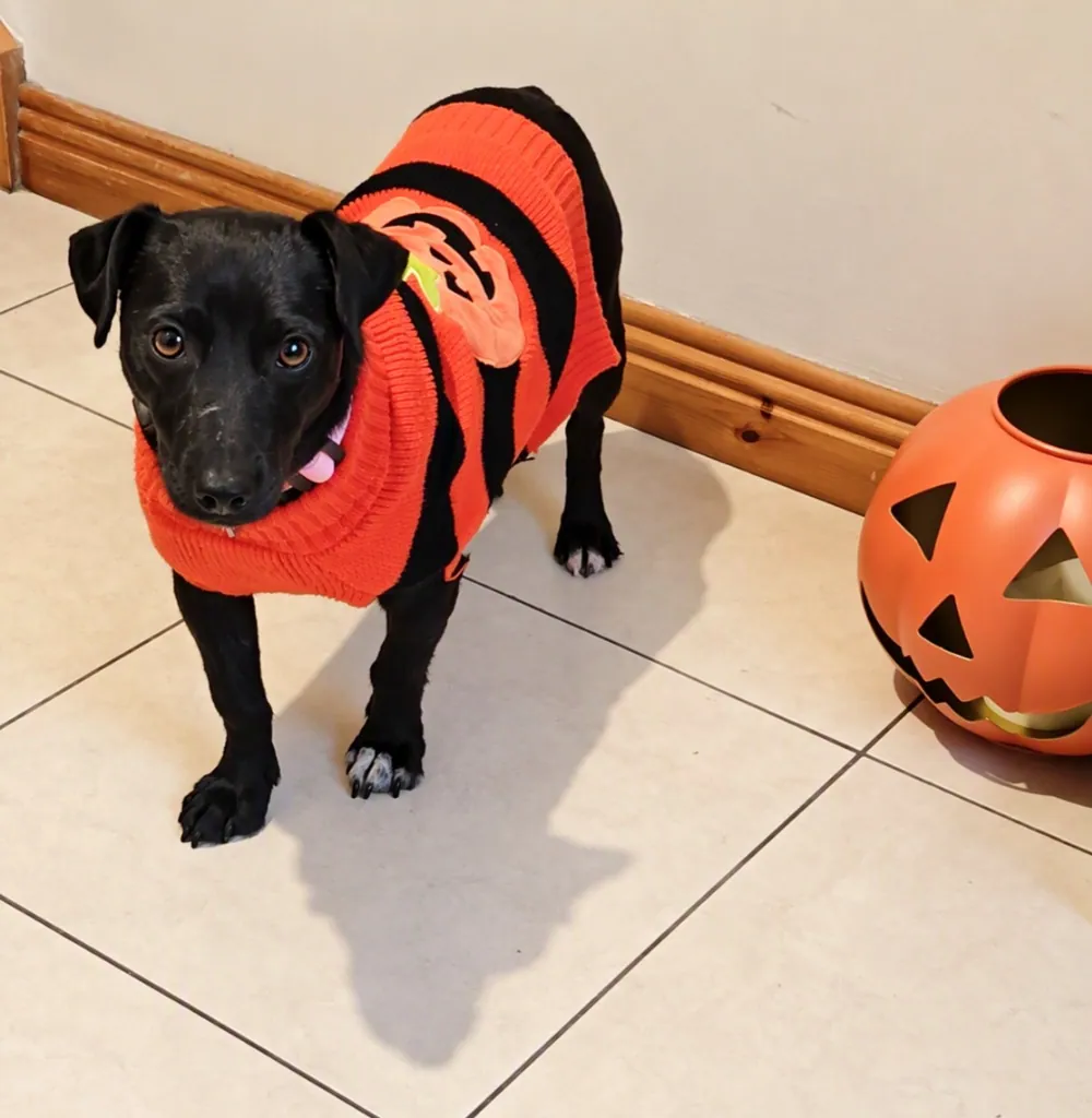 Bonnie – Photo 1 of 1