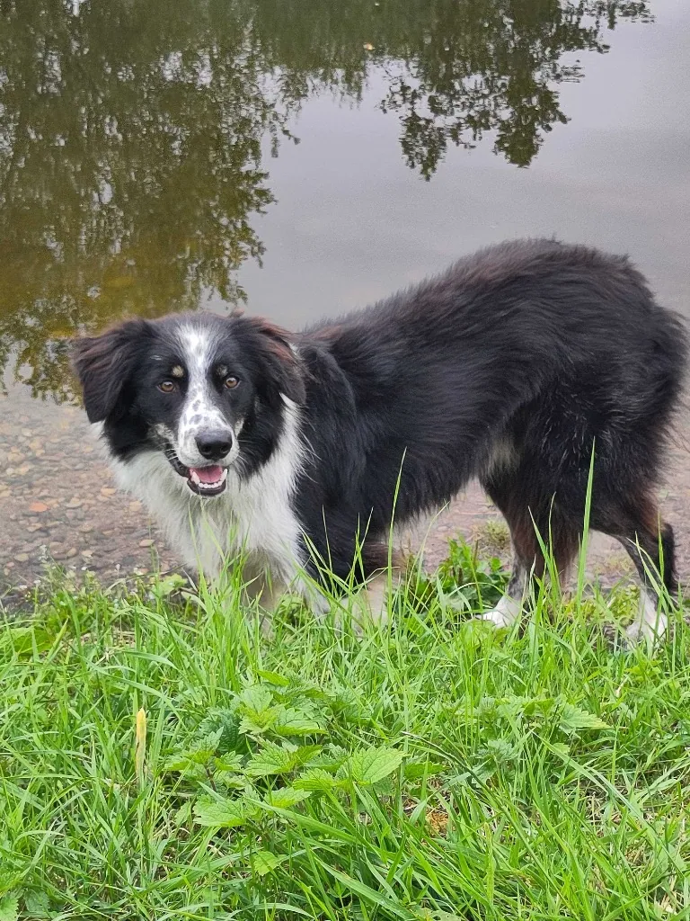 Axel – Photo 1 of 2