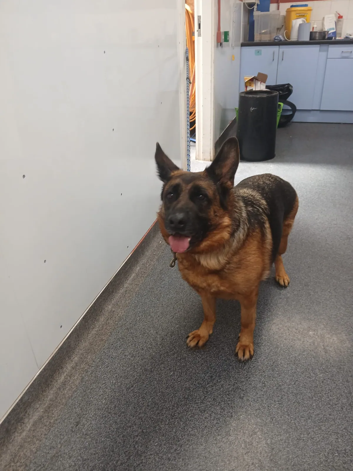 Raya – Photo 1 of 2