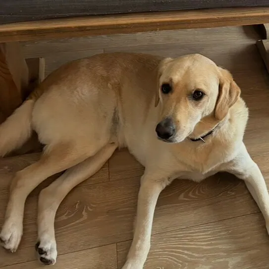 Wilby – Photo 1 of 2
