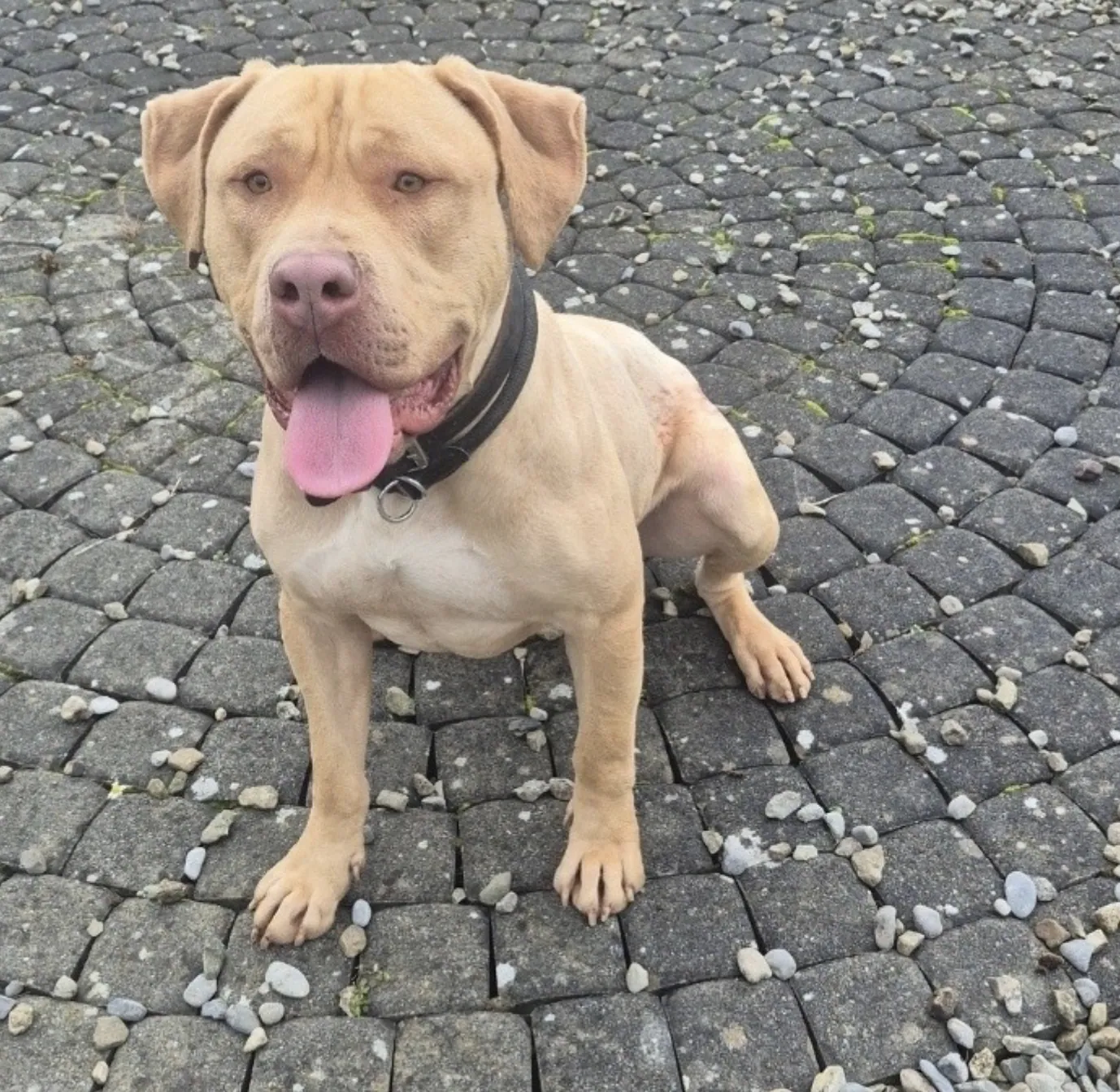 Clyde – Photo 1 of 1