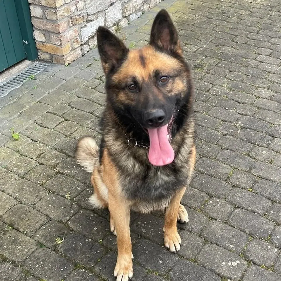 Zeus – Photo 1 of 1
