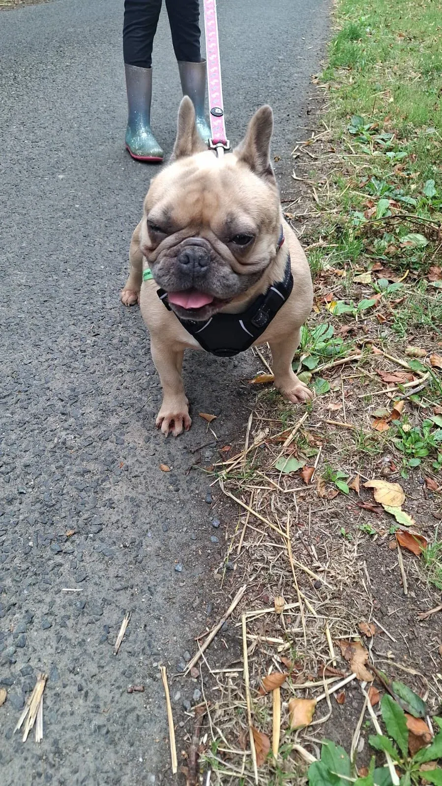Coco