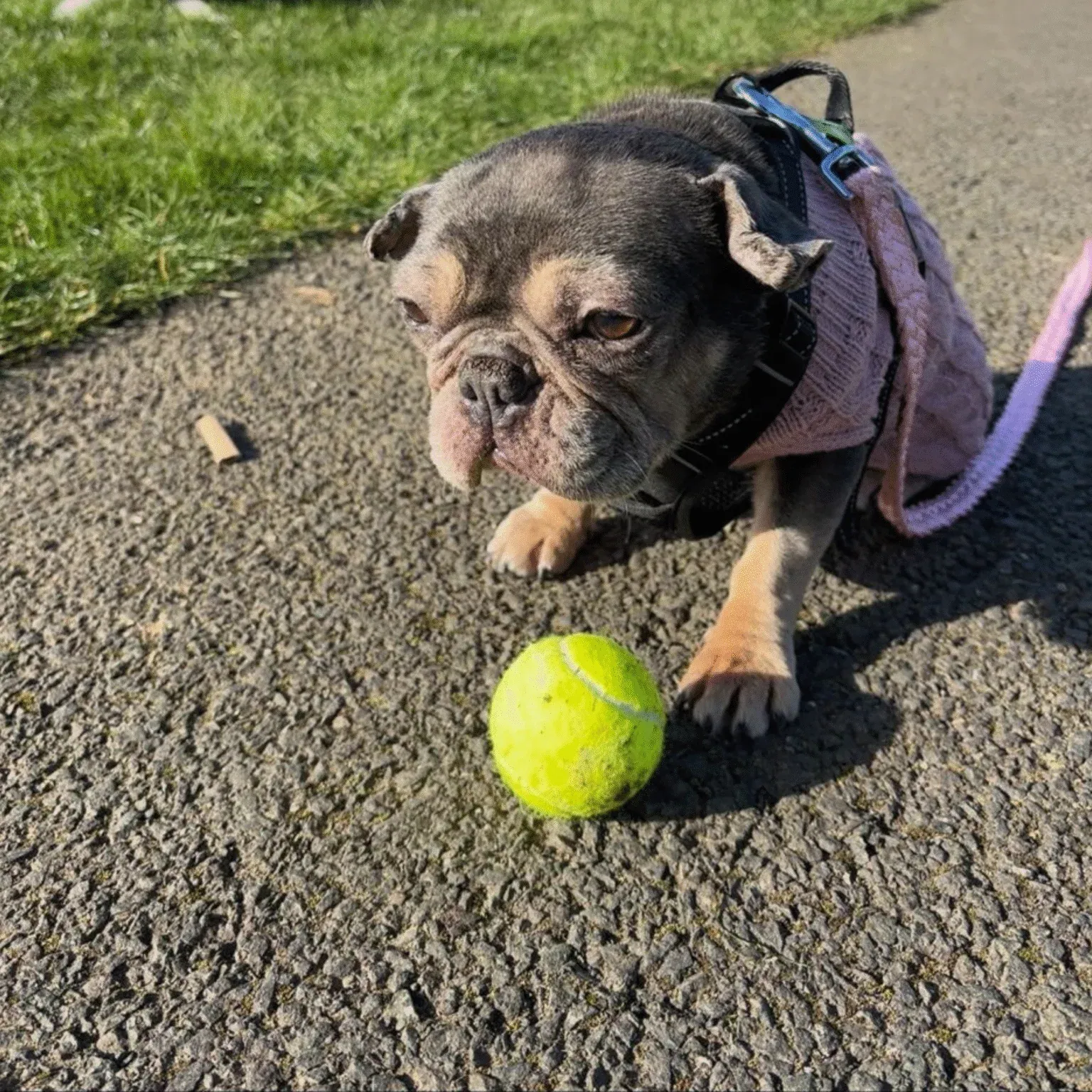 Zola – Photo 1 of 3
