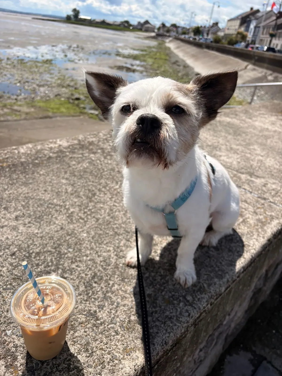 Doug – Photo 1 of 4