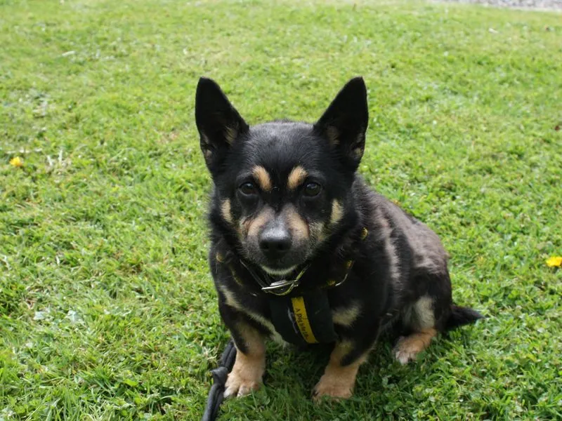 Tiko – Photo 1 of 2