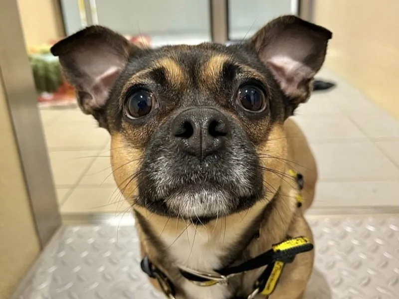 Bonnie – Photo 1 of 2
