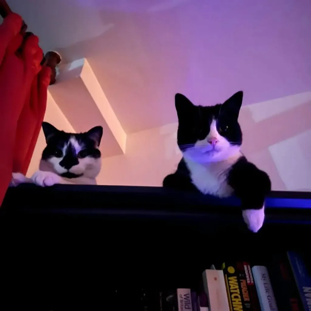 Arthur & Astra – Photo 1 of 5
