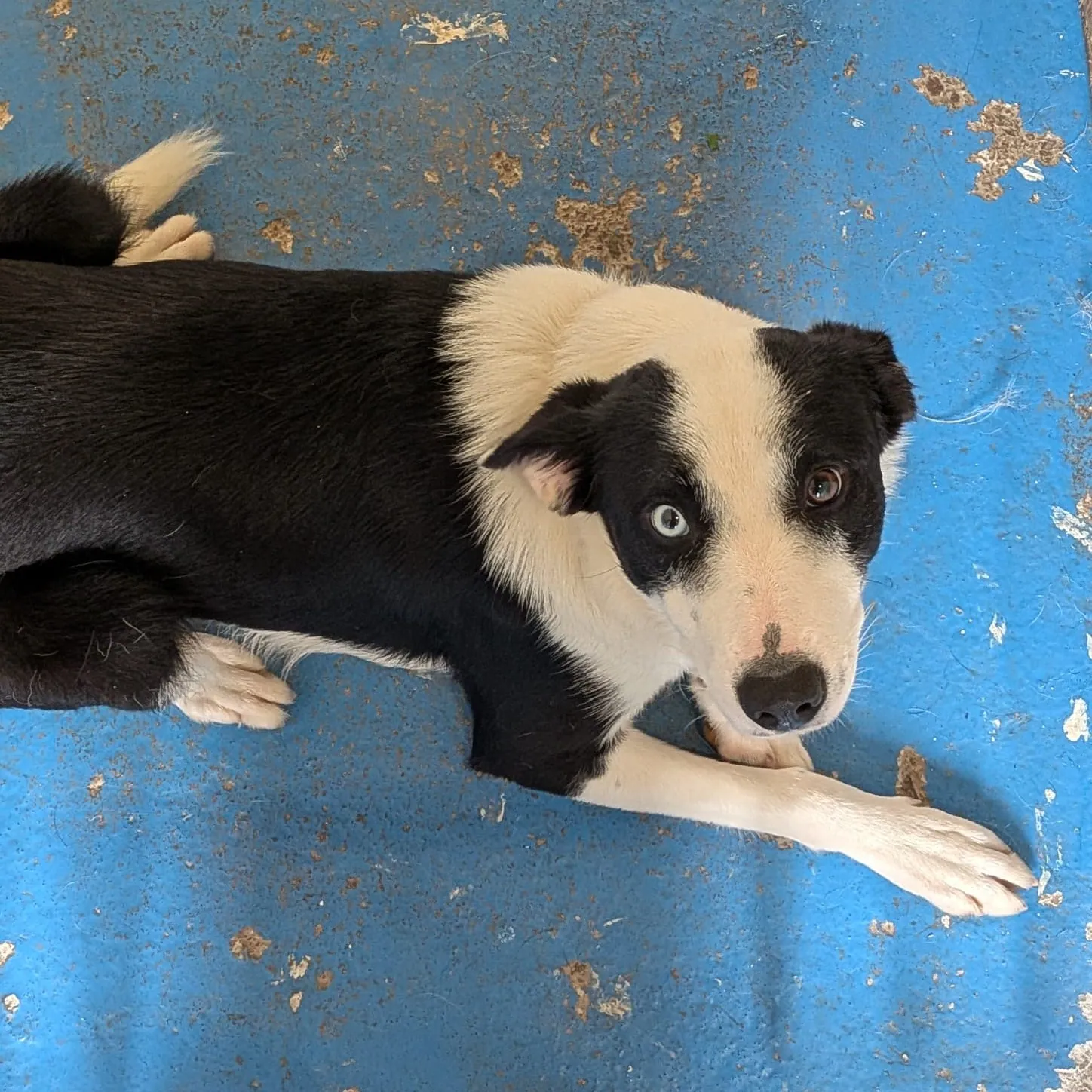 Lucy – Photo 1 of 1