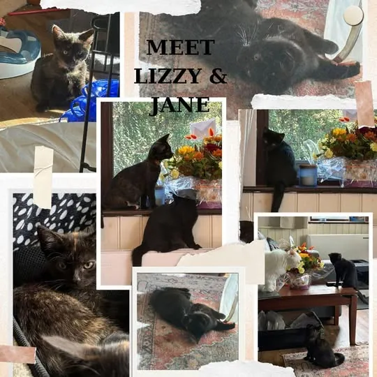 Lizzy & Jane