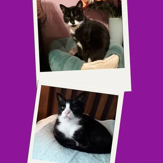 Felix & Precious – Photo 1 of 1