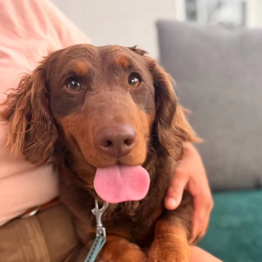 Jasper – Photo 1 of 5
