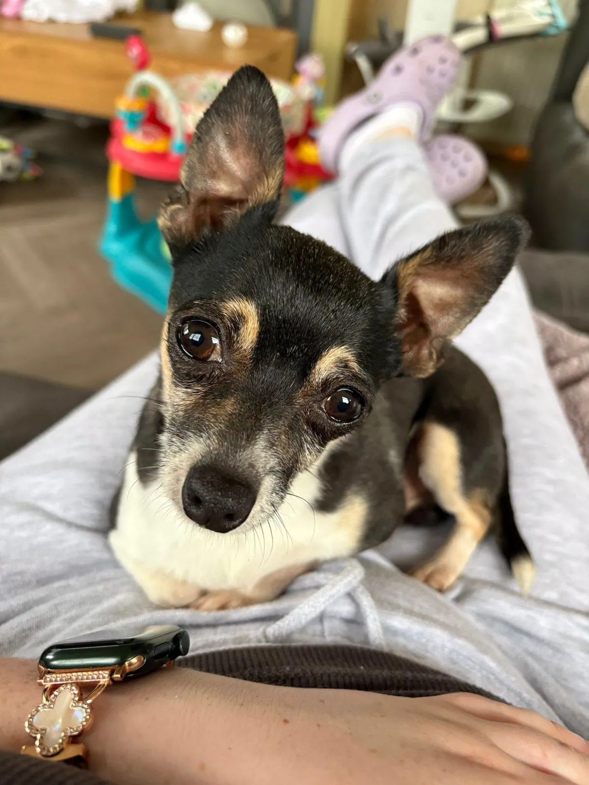 Sammy – Photo 1 of 3