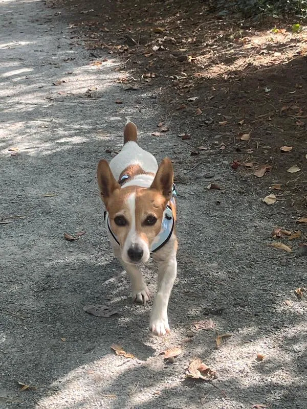 Roxy – Photo 1 of 4
