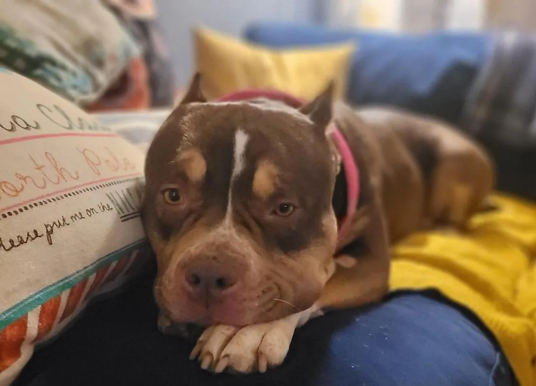 Matilda – Photo 1 of 3