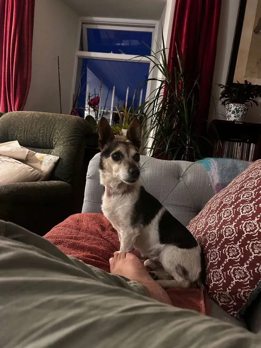 Jack – Photo 1 of 3
