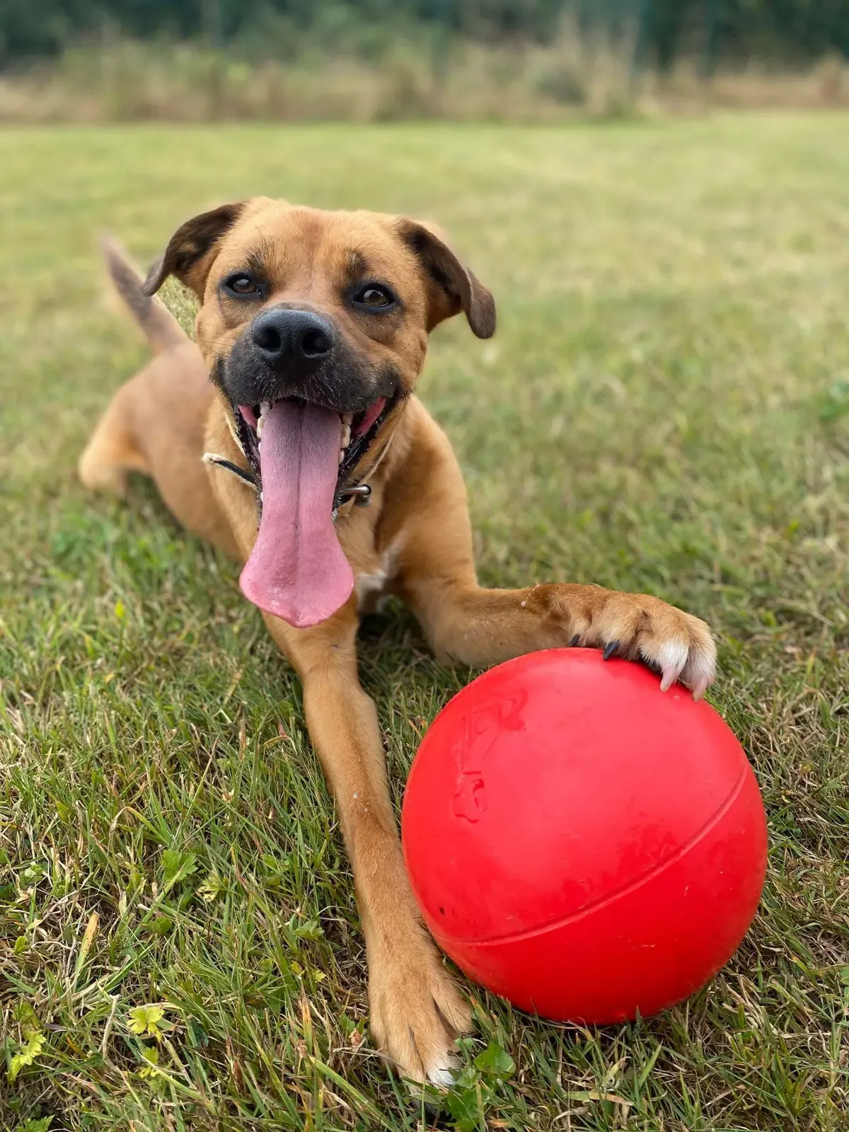 Charlie – Photo 1 of 14
