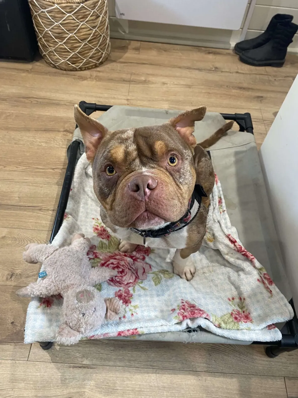 Zeus – Photo 1 of 5