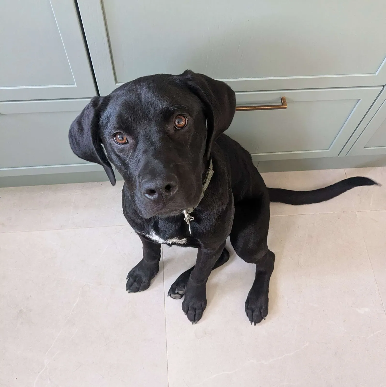 Penny – Photo 1 of 5