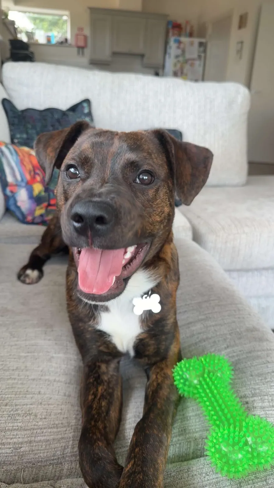 Benny – Photo 1 of 4