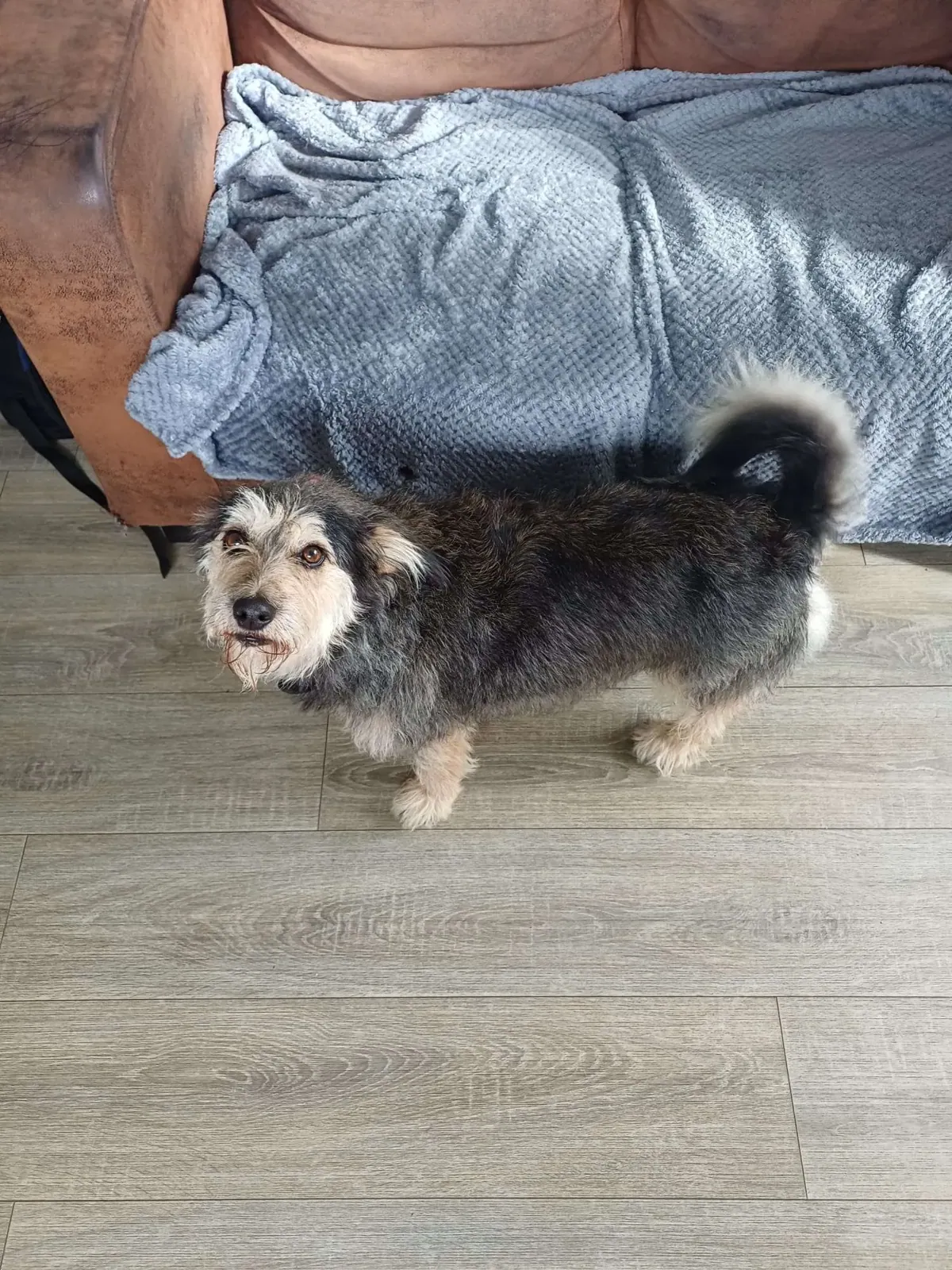 Roxy – Photo 1 of 7