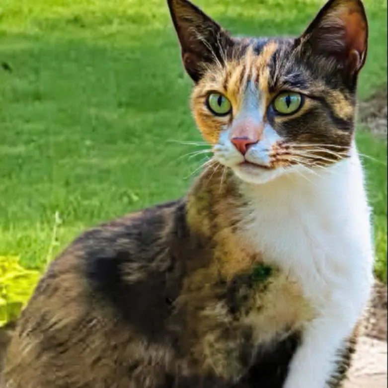 Polly – Photo 1 of 1