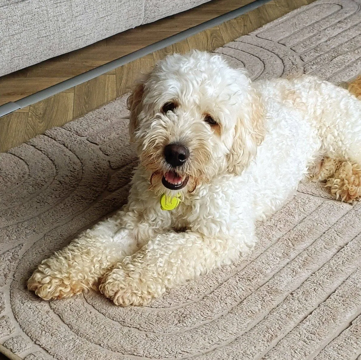 Billy